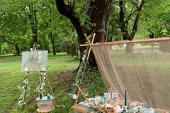 Offering with deposit : Hardly Picnics