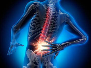 Wellness Session Packages: Wipe Out Lower Back Pain - 3 Month Program with Coach Jeff
