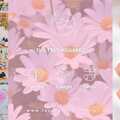 Radar: Cosmetica Natural Consciente 