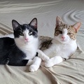  : Peter and Parker