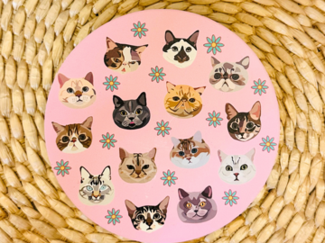  : Cat Coaster