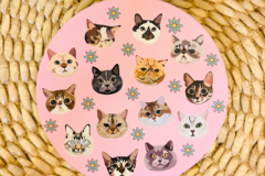  : Cat Coaster