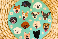  : Dog Coaster