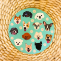 : Dog Coaster