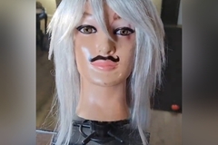 Selling with online payment: Long Silver Wig