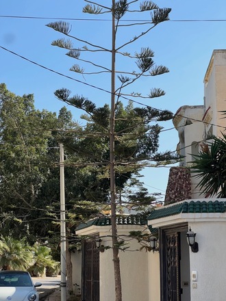 Atelier confection et logement de standing en Tunisie (Sousse)
