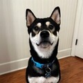  : Bubby