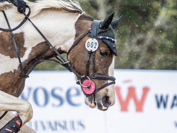 Myy: Equestrian Stockholm korvahuppu