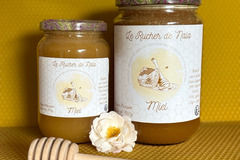 Les miels : Miel en pot de 1 kg