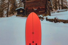 Vermieten und mieten/ Barzahlung: Burton Backseat Driver