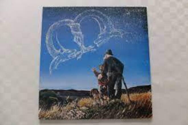 Lot de 2 vinyles 33t THE WHO NEUFS sous blister