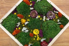 Events priced per-person: Moss Wall Art Workshop