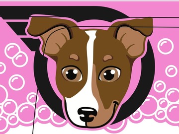 Bulk Lots: Easy Peasy Grooming