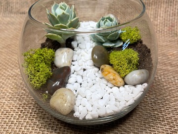 Events priced per-person: Mini Living Worlds: Succulent and Moss Terrariums