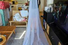 Selling: 3m white pearl veil - never worn
