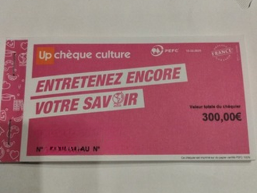Vente: Chèques Culture Up (300€)