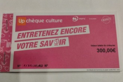 Vente: Chèques Culture Up (300€)