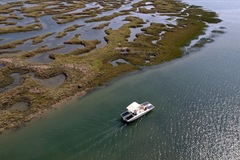 Alquile per persona: Algarve Eco-friendly Solar Boat Trip in Ria Formosa from Faro