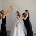 Selling: Veil Soft Tulle Ivory
