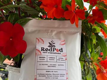 Productos: RedPod Café de especialidad 