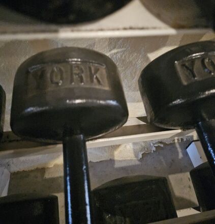 York roundhead dumbbells cheap