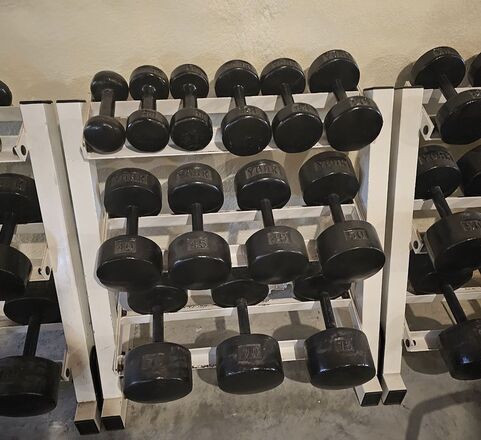 Dumbbells Pre USA York Barbell Roundhead Big Fitness