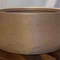Selling with online payment: Famous Steam-bent, single-ply curly maple shell 6.5" x 14"