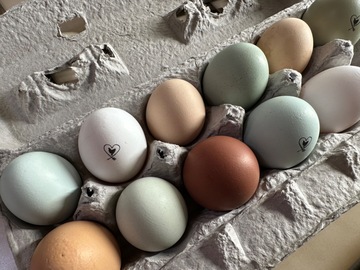 Selling with In-person Payment: Chelsea’s Nest ~ Chicken Eggs (Phoenix Lake, CA)