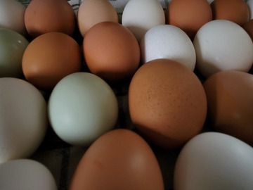 Selling with In-person Payment: Free Range Chicken Eggs