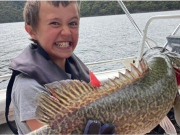 Charter Services: 2 Hour Twilight Guided Tour - Lake Eildon