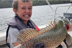 Charter Services: 2 Hour Twilight Guided Tour - Lake Eildon