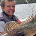 Charter Services: 2 Hour Twilight Guided Tour - Lake Eildon