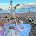 Offering without online payment (No Fees): Luxury Picnic in Palm Beach