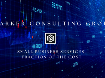 Service: Fractional Business Consulting - A Fraction of the Cost