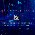 Service: Fractional Business Consulting - A Fraction of the Cost