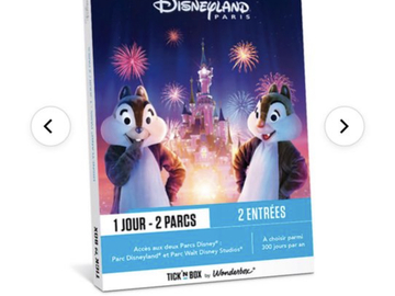 Vente: Tickn'box "Disneyland Paris - Journée en duo - 2 parcs" (238€)