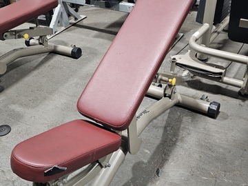 Buy it Now w/ Payment: Magnum Adjustable Flat to Incline benches