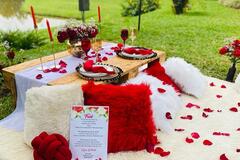Offering without online payment (No Fees): Picnic Dates