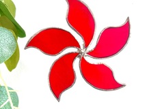  : Red Hong Kong Bauhinia