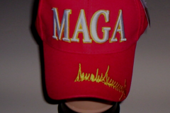 Comprar ahora: "18 "MAGA" Puff Embroidered Red Hats w/Gold Trump Signature