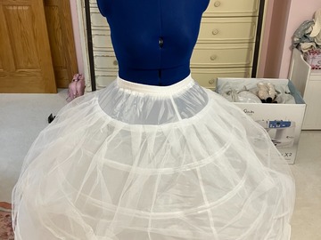Selling with online payment: Five Hoop Petticoat