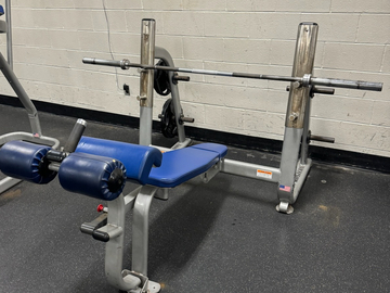 Buy it Now w/ Payment: BodyMasters olympic Decline bench