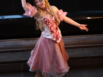 Selling with online payment: Sugar Plum Princess Clara (Barbie in the Nutcracker)