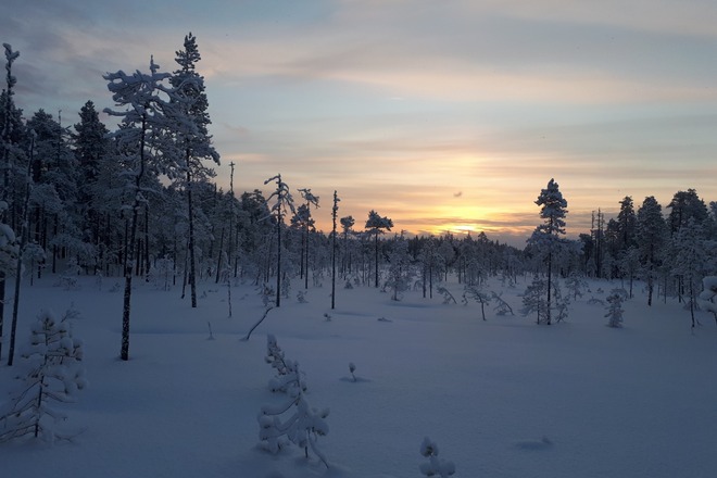 Liukulumikengät OAC Kar149 