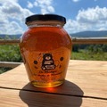 Les miels : miel de foret 