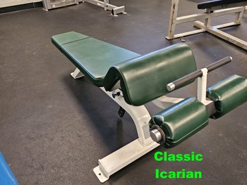 Buy it Now w/ Payment: Icarian Adjustable decline bench