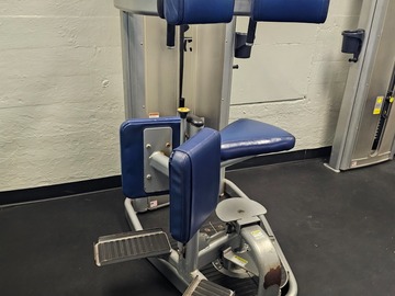 Buy it Now w/ Payment: Cybex Vr3 Rotary Torso