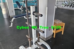Buy it Now w/ Payment: Cybex Weight Tree