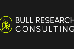 Headhunter: Bull Research Consulting