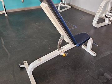 Buy it Now w/ Payment: Cybex 0-90% Adjustable bench